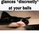 ملصق