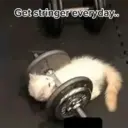 ملصق