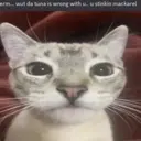 ملصق