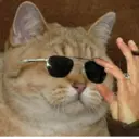 Стикер
