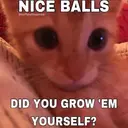 ملصق
