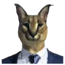 Çıkartma