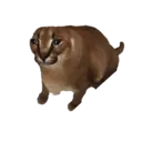 Çıkartma
