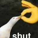 ملصق