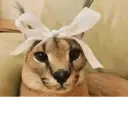 ملصق