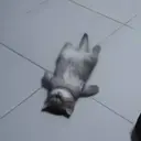 Çıkartma
