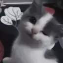 Çıkartma