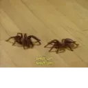 ملصق