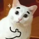 ملصق