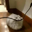 Çıkartma