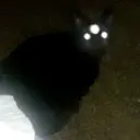 Çıkartma