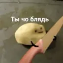 Çıkartma