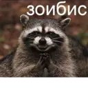 ملصق