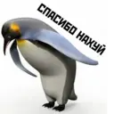 ملصق