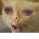 ملصق