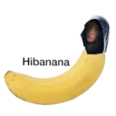 Çıkartma
