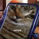 Çıkartma