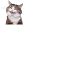 Çıkartma