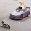 Çıkartma