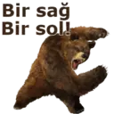 Çıkartma