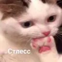 Çıkartma