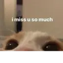 ملصق