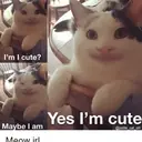 ملصق