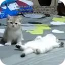 Çıkartma