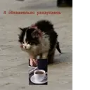 Çıkartma