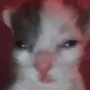 Çıkartma