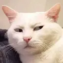 ملصق