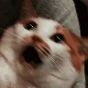 ملصق