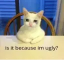 ملصق