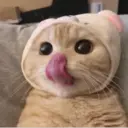 ملصق