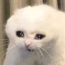 ملصق