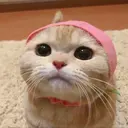 ملصق