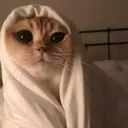 Çıkartma