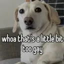 ملصق