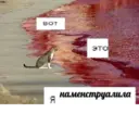 ملصق