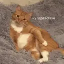Çıkartma