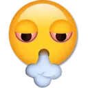 Çıkartma
