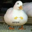 Çıkartma