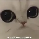 ملصق