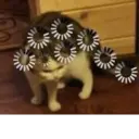 Çıkartma