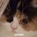 ملصق