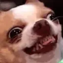 ملصق