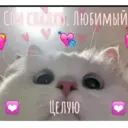 Çıkartma