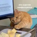 ملصق