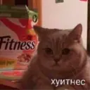 ملصق
