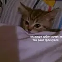 Çıkartma